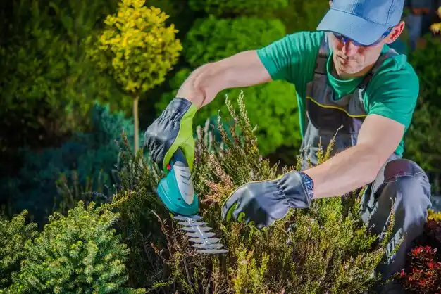 landscaping services Holyoke